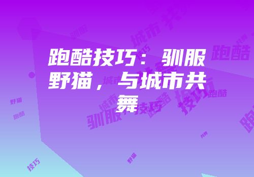跑酷技巧：驯服野猫，与城市共舞