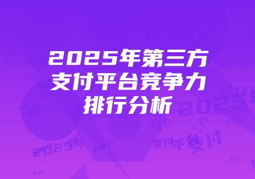 2025年第三方支付平台竞争力排行分析