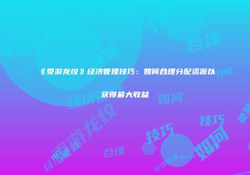 《页游龙纹》经济管理技巧：如何合理分配资源以获得最大收益