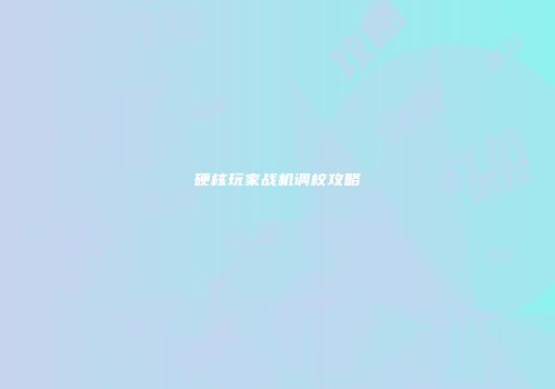 硬核玩家战机调校攻略