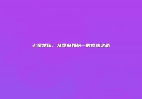 七星龙珠：从菜鸟到榜一的修炼之路