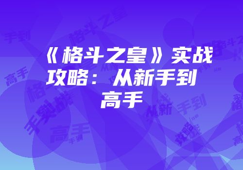 《格斗之皇》实战攻略：从新手到高手