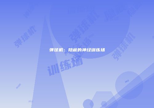 弹球机：隐藏的神经训练场