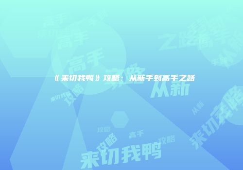 《来切我鸭》攻略：从新手到高手之路