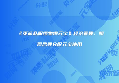《页游私服怪物爆元宝》经济管理：如何合理分配元宝使用