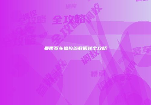 暴雨赛车操控参数调校全攻略