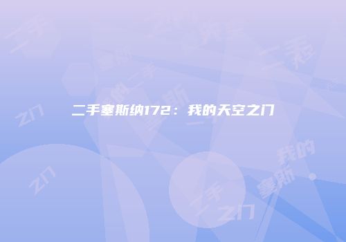 二手塞斯纳172：我的天空之门