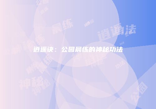 逍遥诀：公园晨练的神秘功法