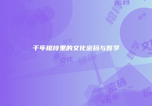 千年棺椁里的文化密码与哲学