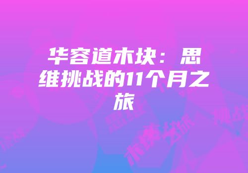 华容道木块：思维挑战的11个月之旅