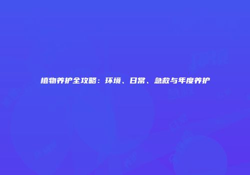 植物养护全攻略：环境、日常、急救与年度养护