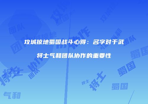 攻城掠地蜀国战斗心得：名字对于武将士气和团队协作的重要性
