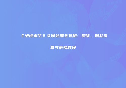《绝地求生》头像处理全攻略：清除、隐私设置与更换教程