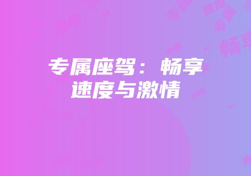 专属座驾：畅享速度与激情