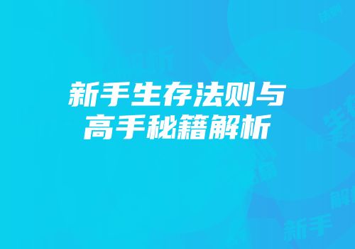 新手生存法则与高手秘籍解析