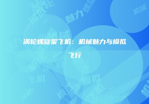 涡轮螺旋桨飞机：机械魅力与模拟飞行