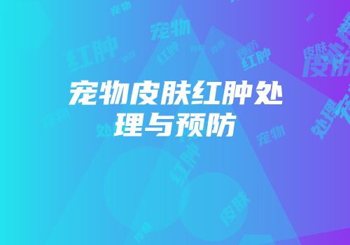 宠物皮肤红肿处理与预防