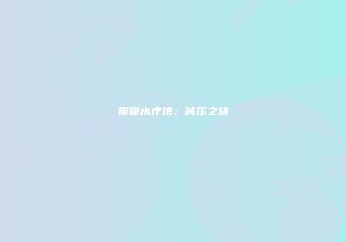 猫猫水疗馆：减压之旅