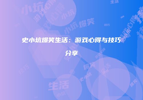 史小坑爆笑生活：游戏心得与技巧分享