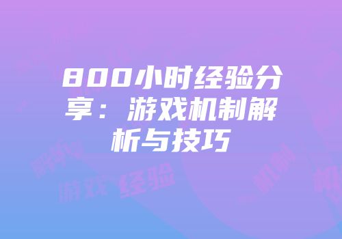 800小时经验分享：游戏机制解析与技巧