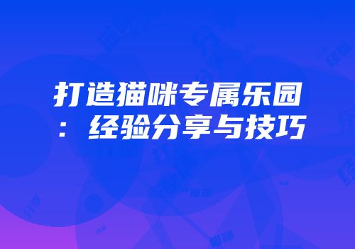 打造猫咪专属乐园：经验分享与技巧