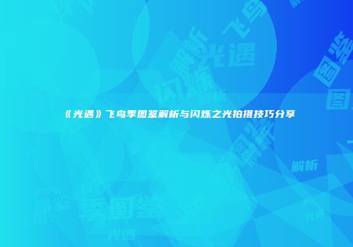 《光遇》飞鸟季图鉴解析与闪烁之光拍摄技巧分享