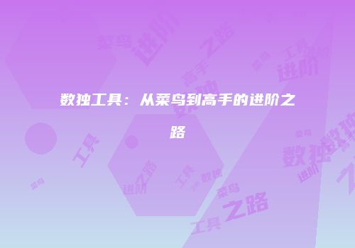 数独工具：从菜鸟到高手的进阶之路