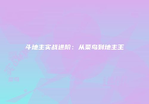斗地主实战进阶：从菜鸟到地主王