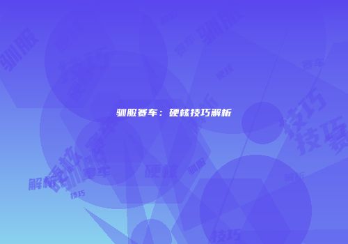 驯服赛车：硬核技巧解析