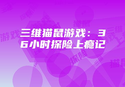 三维猫鼠游戏：36小时探险上瘾记