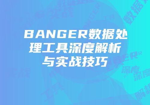 BANGER数据处理工具深度解析与实战技巧