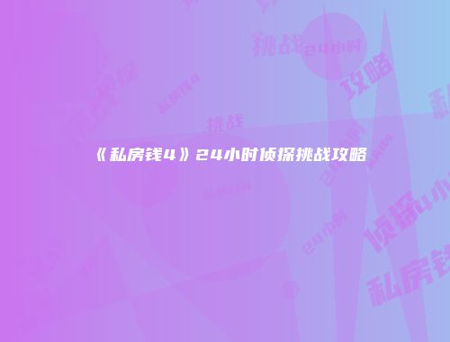 《私房钱4》24小时侦探挑战攻略