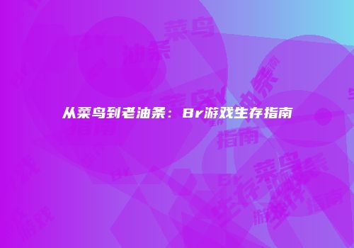从菜鸟到老油条：Br游戏生存指南