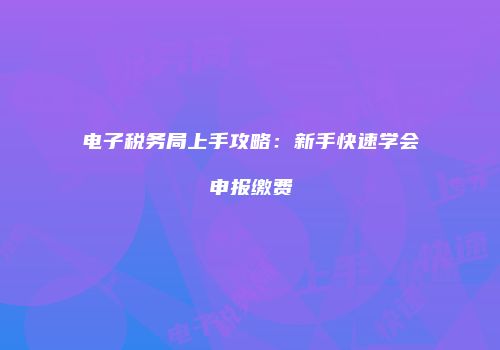 电子税务局上手攻略：新手快速学会申报缴费