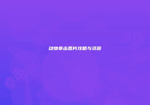 动物拳击图片攻略与资源