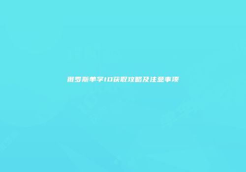 俄罗斯单字ID获取攻略及注意事项
