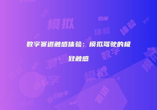 数字赛道触感体验：模拟驾驶的极致触感
