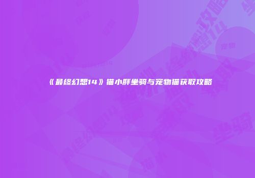 《最终幻想14》猫小胖坐骑与宠物猫获取攻略