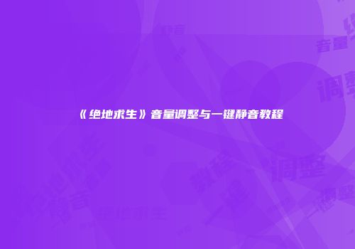 《绝地求生》音量调整与一键静音教程