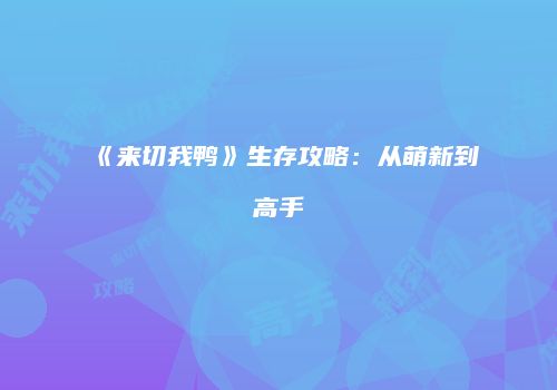《来切我鸭》生存攻略：从萌新到高手
