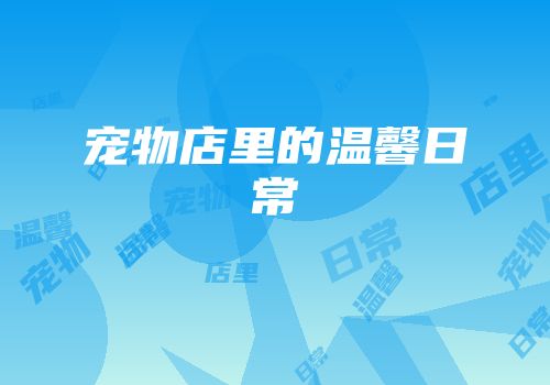 宠物店里的温馨日常