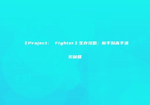 《Project： Fighter》生存攻略：新手到高手进阶秘籍