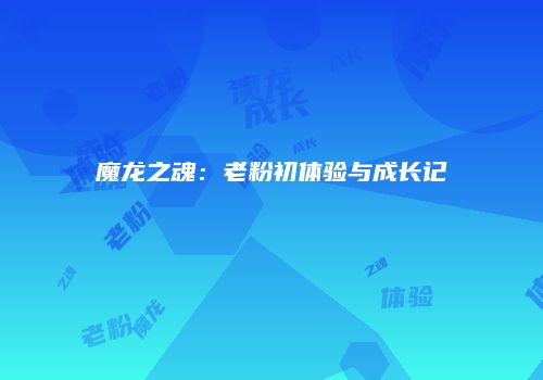 魔龙之魂：老粉初体验与成长记