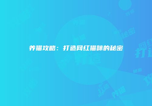 养猫攻略：打造网红猫咪的秘密