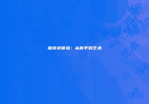 维修初体验：从新手到艺术