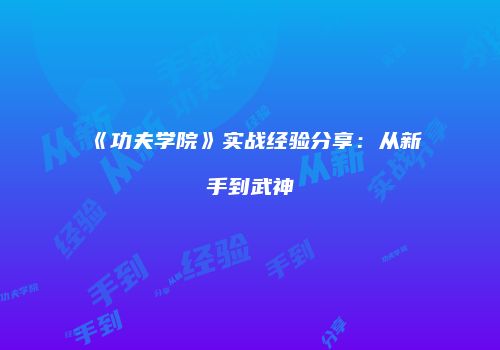 《功夫学院》实战经验分享：从新手到武神