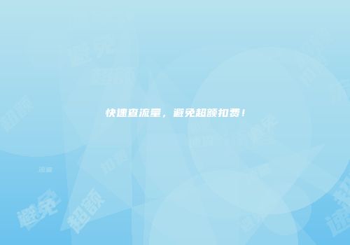 快速查流量，避免超额扣费！