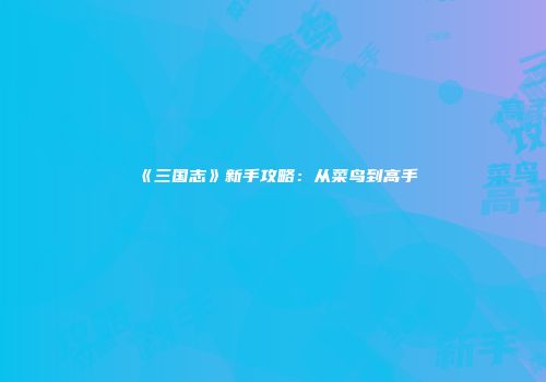 《三国志》新手攻略：从菜鸟到高手