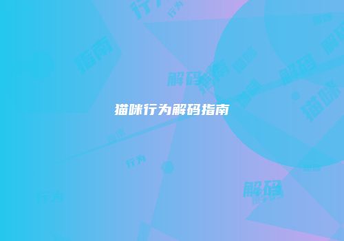 猫咪行为解码指南