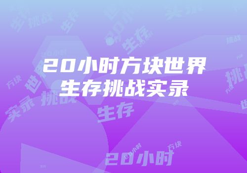 20小时方块世界生存挑战实录